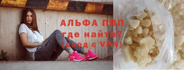 прущие грибы Александровское