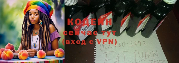 индика Покачи