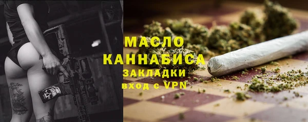 индика Покачи