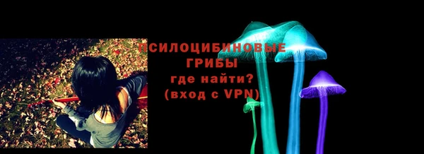 индика Покачи