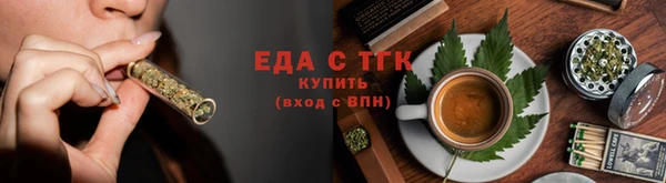 индика Покачи