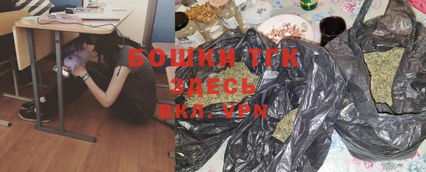 индика Покачи