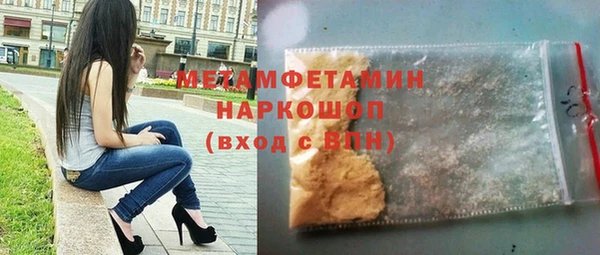 индика Покачи