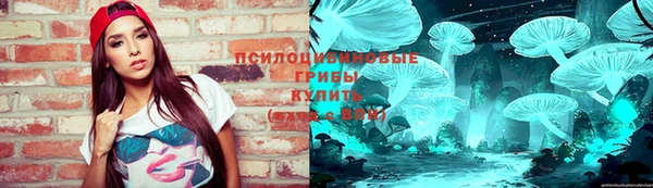 индика Покачи