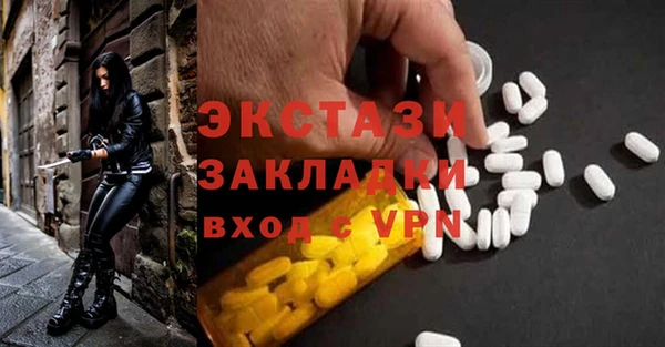 индика Покачи