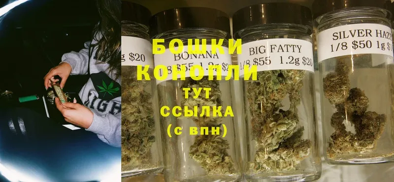 как найти   Краснотурьинск  Бошки Шишки White Widow 